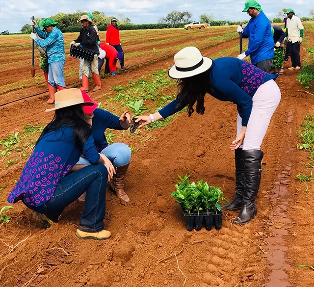 Regenerative Agriculture