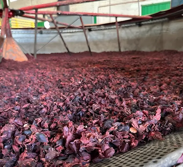 Coffee Pulp Tea Project